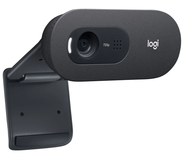 Kamera LOGITECH C505E HD Webcam Black