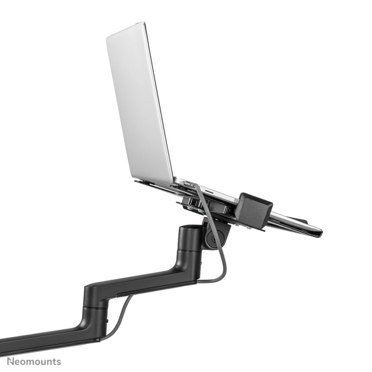 Neomounts DS20-425BL2 uchwyt / stojak do monitorów 68,6 cm (27") Biurko Czarny