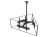Uchwyt sufitowy do telewizora Equip Equipment 650371 32" - 65"