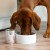 Paka Zwierzaka Pepe Vet Karma mokra Hypoallergenic Horse 400g