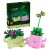 LEGO 11506 Botanicals - Bujające się roślinki