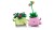 LEGO 11506 Botanicals - Bujające się roślinki
