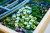 LEGO Art 31220 - Claude Monet: Most nad stawem z liliami wodnymi