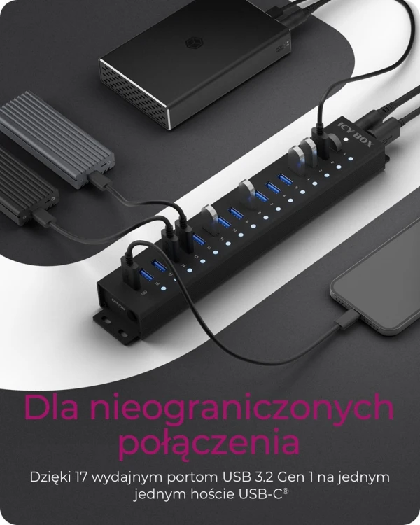 ICY BOX Hub 17-Portowy z USB 3.2 Gen