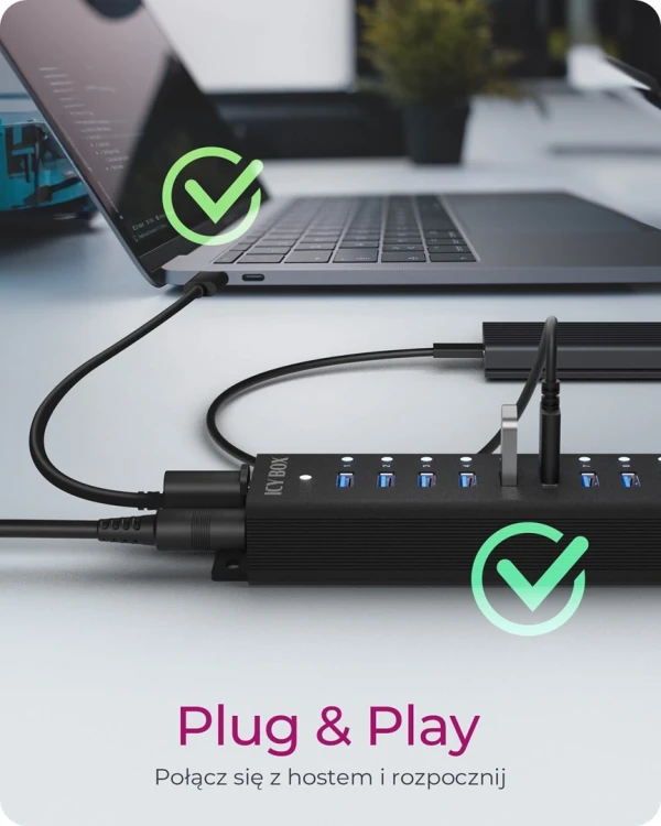 ICY BOX Hub 17-Portowy z USB 3.2 Gen