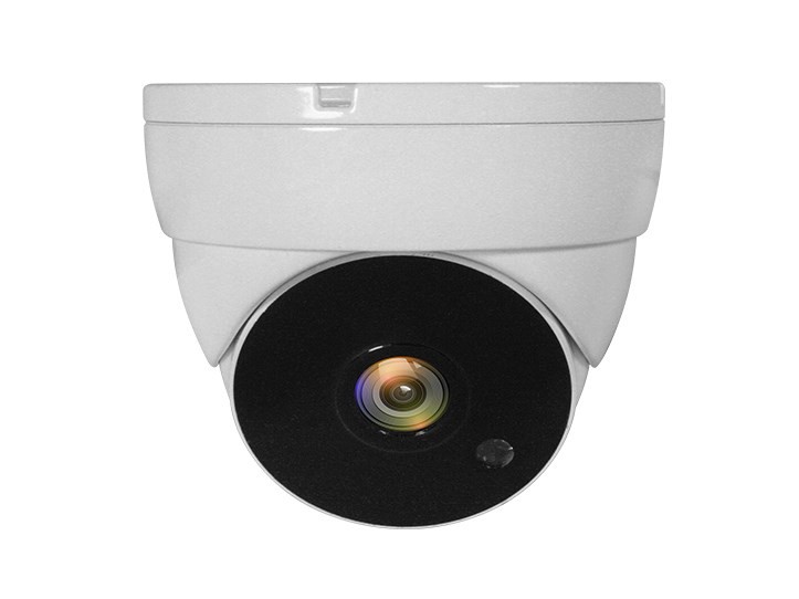 LevelOne ACS-5302 kamera przemysłowa Kopułowa Kamera bezpieczeństwa CCTV Wewnętrzna / zewnętrzna Sufit