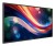 PHILIPS Q-Line 43BDL4050Q   109,2cm(43") 24/7/UHD/Android10