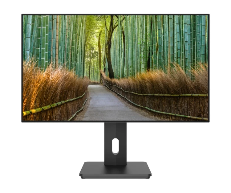 Monitor JAPANNEXT 68.5cm JN-27IPS4FLWQHDR-HSP 16:9 HDMI/DP WQHD