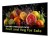 Philips 5000 series 65BDL5050D/00 signage display 165,1 cm (65") LCD Wi-Fi 600 cd/m2 Full HD Czarny Procesor wbudowany Android