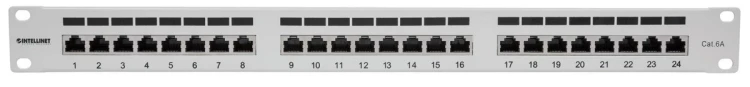INTELLINET 24-Port Cat6a Patchpanel FTP 1HE  grau