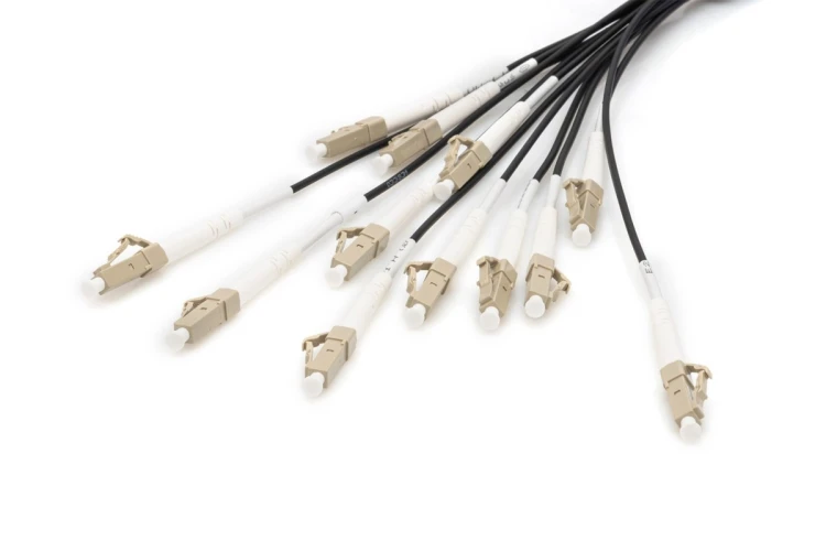 Digitus Zakończony fabrycznie uniwersalny kabel światłowodowy typu breakout, wielomodowy OM4, 12 włókien, LC/UPC – LC/UPC