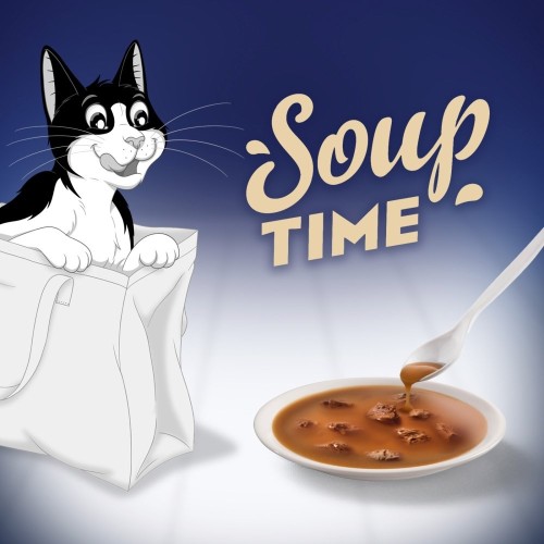PURINA FELIX Soup ORIGINAL Rybne smaki 6x48g