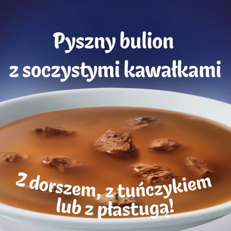 PURINA FELIX Soup ORIGINAL Rybne smaki 6x48g