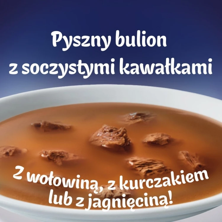 PURINA FELIX Soup ORIGINAL Wiejskie smaki 6x48g