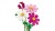 LEGO Botanical Collection 11514 - Kosmosy