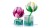 LEGO Botanical Collection 11511 - Lilie wodne