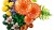 LEGO Botanical Collection 11505 - Grzyby leśne