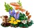 LEGO Botanical Collection 11505 - Grzyby leśne