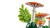 LEGO Botanical Collection 11505 - Grzyby leśne