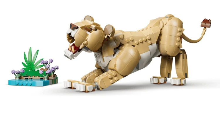 LEGO Creator 3w1 31386 - Dzikie zwierzęta: Dumny lew