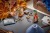 LEGO Harry Potter 76474 - Rośliny z lekcji zielarstwa w Hogwarcie