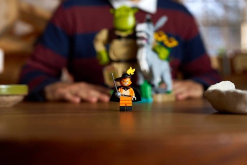 LEGO Badger 72423 V29