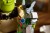 LEGO Badger 72423 V29