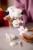 LEGO Ideas 21368 - Fistaszki: Buda Snoopy'ego