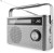 JVC Przenośne radio RA-E315G szary