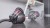 Dyson Big Ball Absolute 2 Cylinder próżniowy Suchy