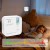 QOLTEC CZUJNIK TLENKU WĘGLA (CZADU) Z BATERIĄ | DETEKTOR CO | ALARM 85DB | LED