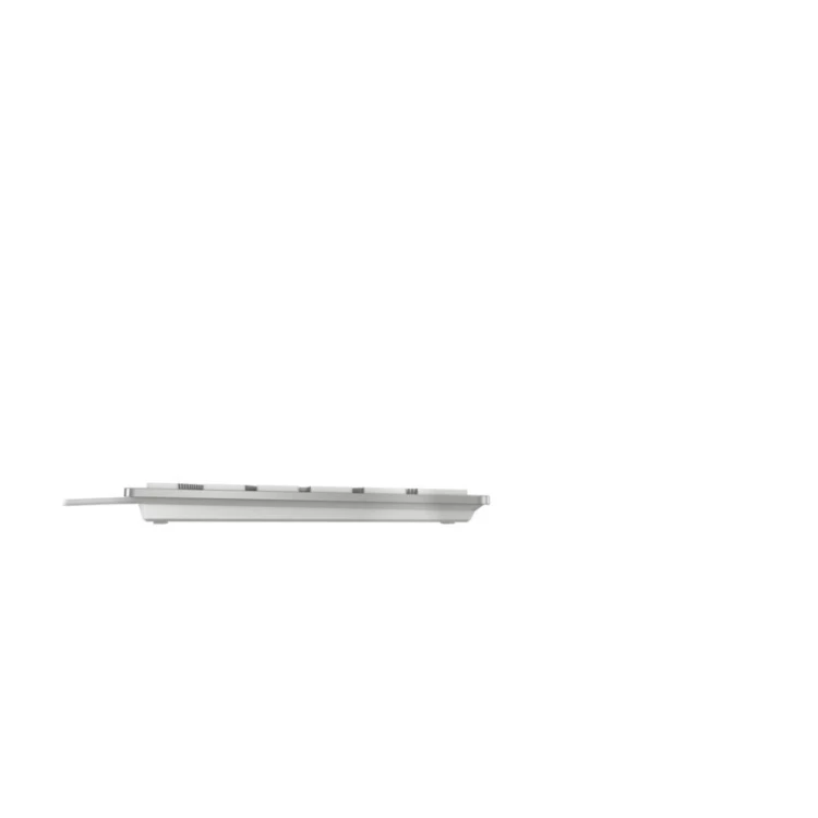 CHERRY KC 6000C FOR MAC klawiatura Uniwersalne USB QWERTZ Niemiecki Srebrny