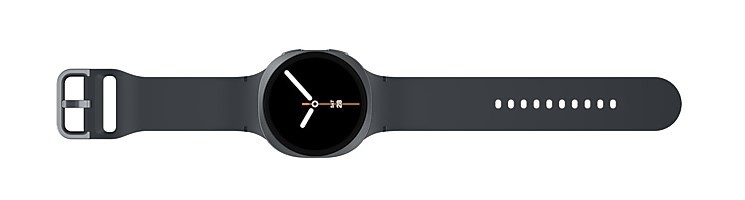 Samsung L335 Galaxy Watch8 LTE (44mm) Graphite