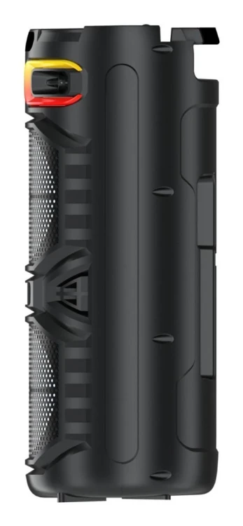 Denver BPS-355 głośnik przenośny / imprezowy Głośnik imprezowy Czarny 16 W