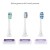 Szczoteczka soniczna TrueLife SonicBrush Clean70 UV