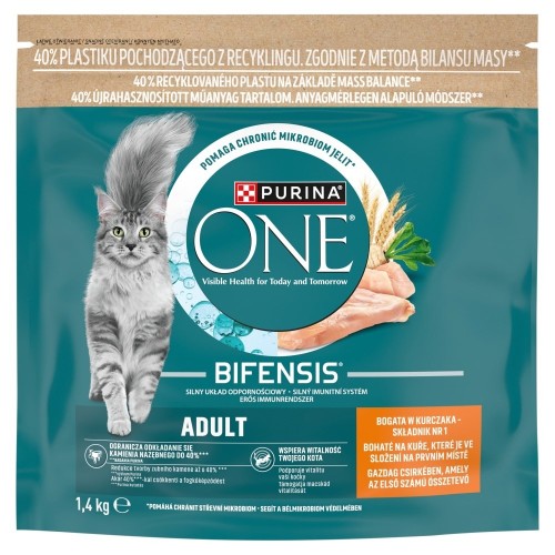 Purina ONE ADULT Kot Kurczk&PłneZiarna 1,4kg