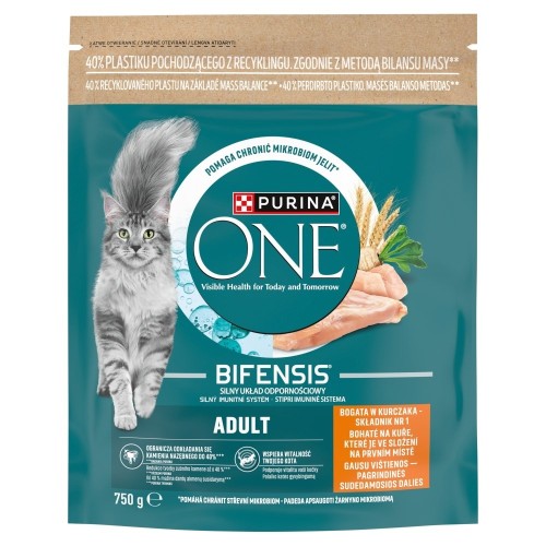 Purina One Mini Active bogata w kurczak z ryż 750g
