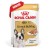 Royal Canin French Bulldog Adult mokra karma dla psów pasztet 12x85g