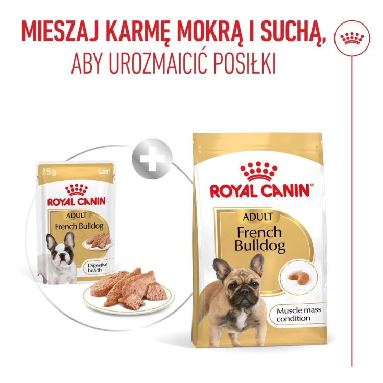 Royal Canin French Bulldog Adult mokra karma dla psów pasztet 12x85g