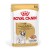 Royal Canin French Bulldog Adult mokra karma dla psów pasztet 12x85g