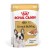 Royal Canin French Bulldog Adult mokra karma dla psów pasztet 12x85g