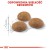 Karma Royal Canin FHN Outdoor (4 kg )