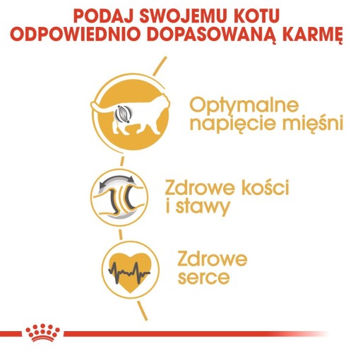 ROYAL CANIN FBN British Shorthair Adult - sucha karma dla dorosłego kota - 10kg