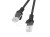 Patchcord UTP Lanberg PCU6-10CC-0300-BK (RJ45 - RJ45 ; 3m; UTP; kat. 6; kolor czarny)