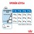 ROYAL CANIN CCN MEDIUM LIGHT WEIGHT CARE - sucha karma dla psa dorosłego - 3kg