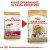 ROYAL CANIN BHN Cavalier King Charles Spaniel Adult - sucha karma dla psa dorosłego - 1,5kg