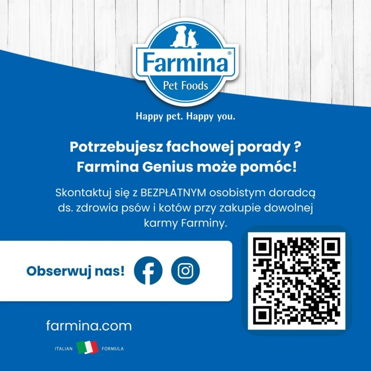 FARMINA N&D Pumpkin Duck & Pumpkin - mokra karma dla kota - 70 g