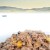 FARMINA N&D Pumpkin Duck & Pumpkin - mokra karma dla kota - 70 g