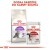 ROYAL CANIN FHN Sensible - sucha karma dla kota dorosłego - 10kg