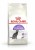 ROYAL CANIN FHN Regular Sterilised 37 - sucha karma dla kota dorosłego  - 10 kg